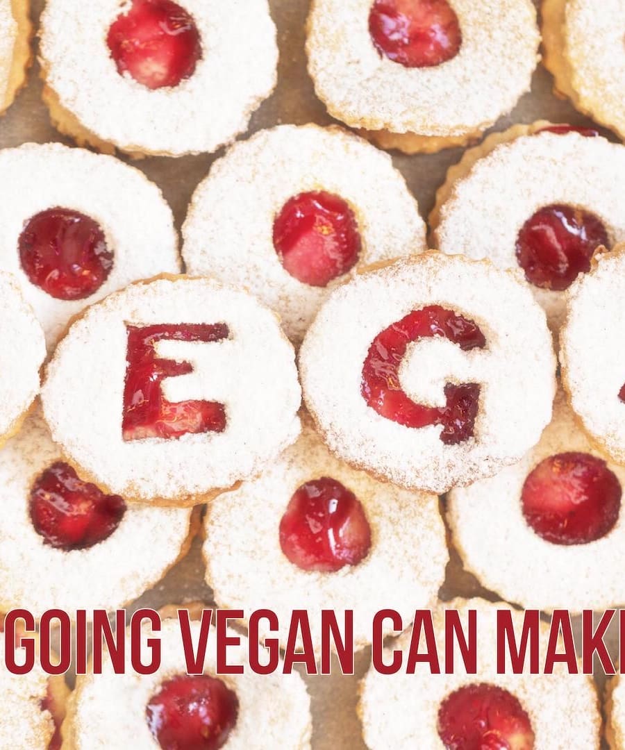 Vegan vs. Carnivore thumbnail