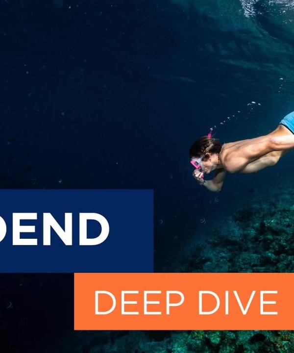 Understanding Dividends thumbnail