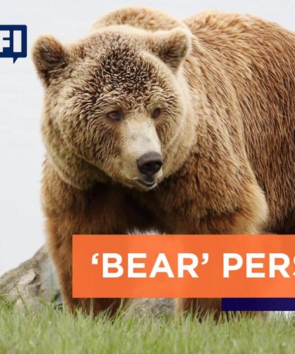 Market Downturn Strategies thumbnail