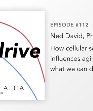 Longevity Strategies thumbnail