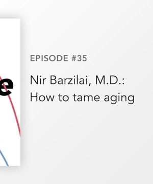 Taming Aging with Metformin thumbnail