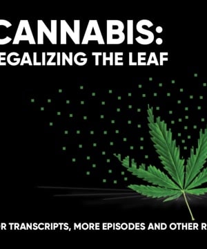 Cannabis Insights thumbnail