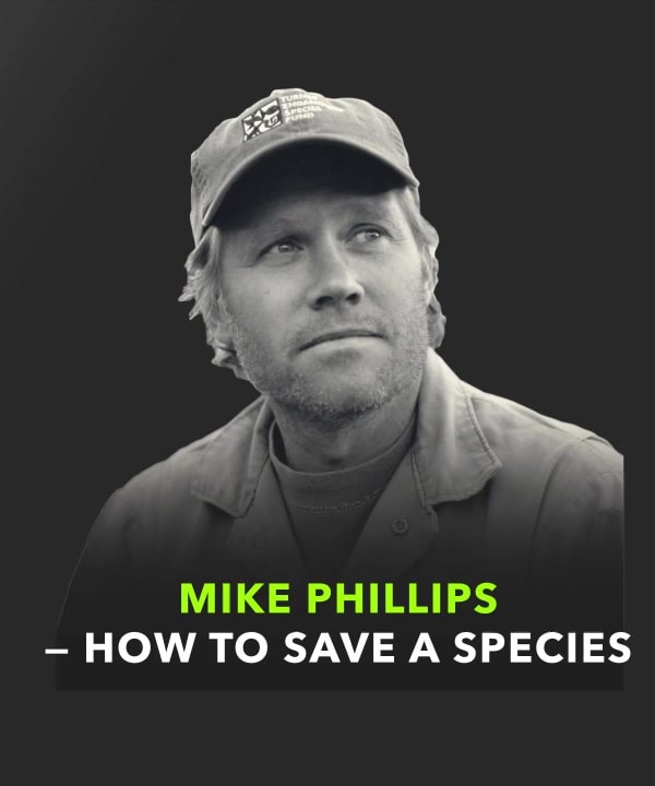 Leveraging Small Investments thumbnail