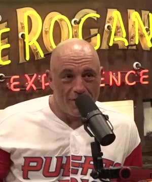 Martial Arts Insights thumbnail
