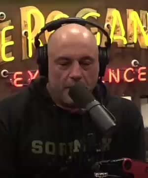 Suffering and Happiness thumbnail