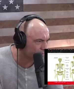 Evolutionary Insights thumbnail