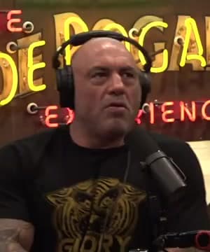 Bodybuilding Paradox thumbnail
