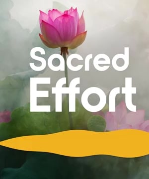 Wise Effort Explained thumbnail