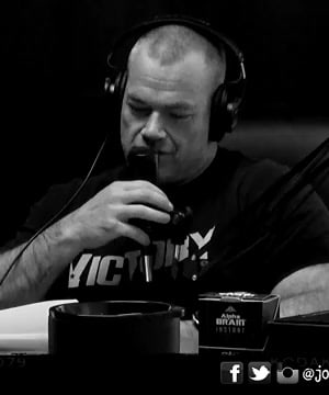 Jocko's White Tea thumbnail