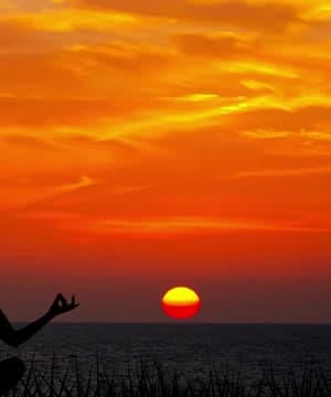 Impermanence of Life thumbnail