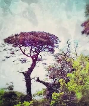 Love Without Boundaries thumbnail