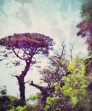 Embracing Love's Complexity thumbnail