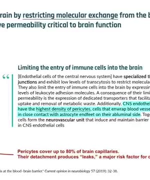 Blood Vessel Interventions thumbnail