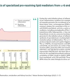 Omega-3 and Chronic Inflammation thumbnail