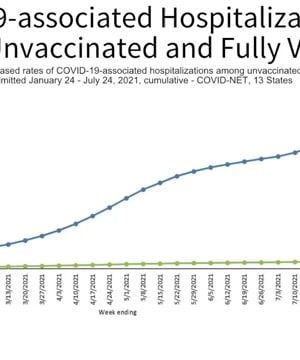 Vaccine Risks thumbnail