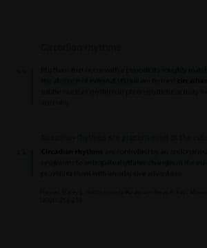 Circadian Rhythms thumbnail