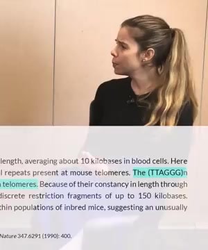 Telomeres and Aging thumbnail