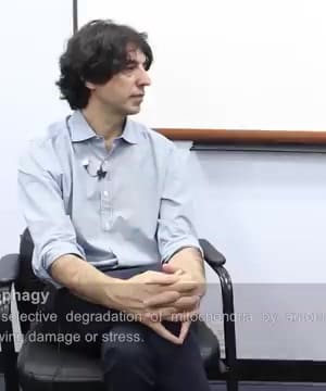 Fasting Mimetic Diets thumbnail