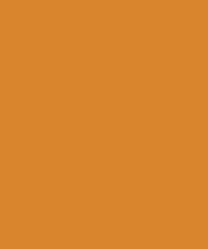 Ambitious Women Network thumbnail