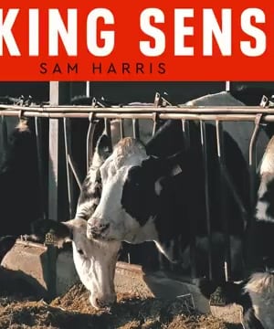 Sustainable Protein Production thumbnail