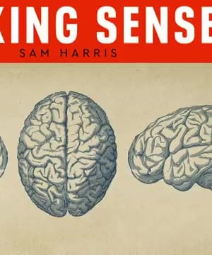 The Nature of Consciousness thumbnail