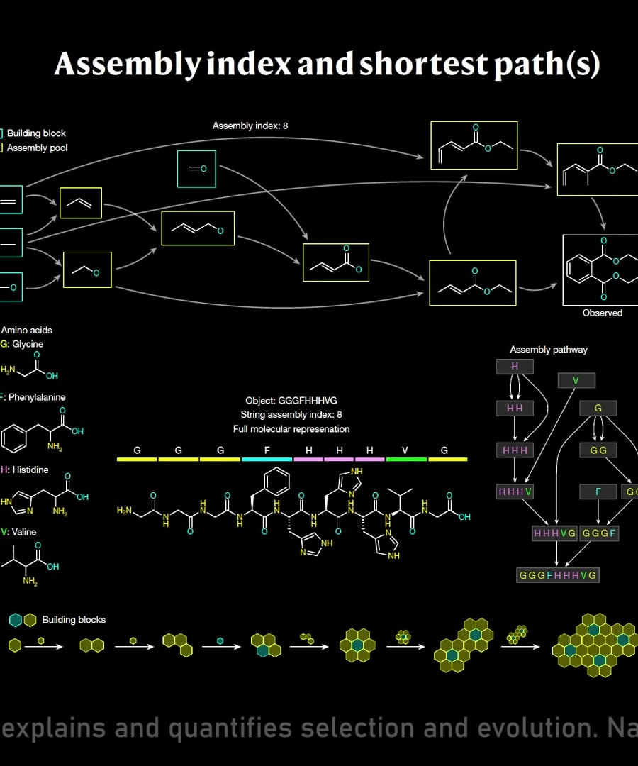 Assembly Theory Insights thumbnail