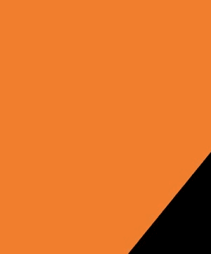 Tiny Llama Insights thumbnail