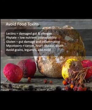 Transformative Benefits thumbnail