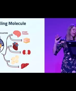 Lactate's Brain Benefits thumbnail