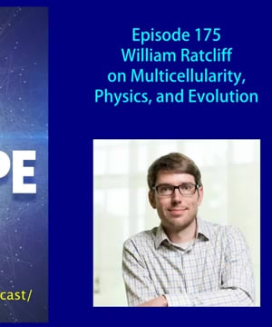 Oxygen and Multicellularity thumbnail