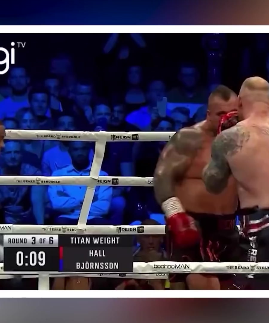 Celebrity Boxing Fights thumbnail