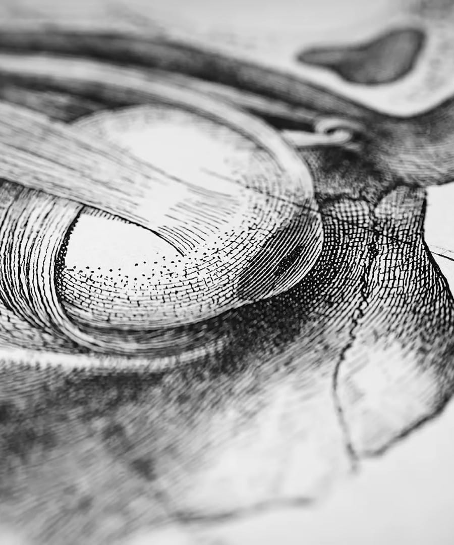 Exploring Psilocybin thumbnail