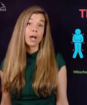 Brown Fat Thermogenesis thumbnail