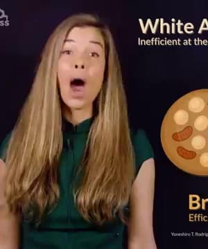 Brown Fat Benefits thumbnail