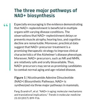 NAD Boosters Explained thumbnail