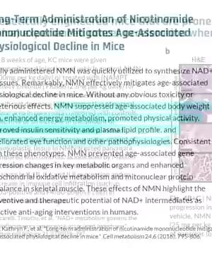 Cancer and NAD Supplements thumbnail