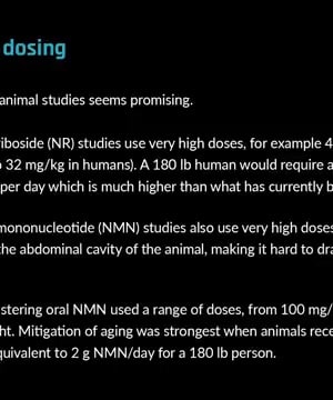 Translating Animal Studies thumbnail
