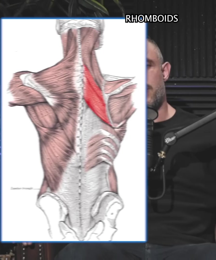 Rhomboid Rowing Techniques thumbnail