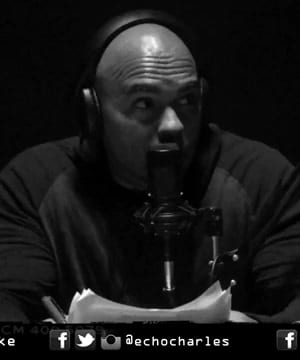 Apparel and Subscription thumbnail