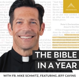 The Bible in a Year (with Fr. Mike Schmitz) thumbnail