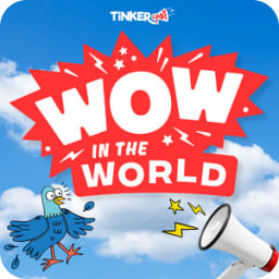 Wow in the World avatar