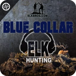 ElkBros Blue Collar Elk Hunting avatar
