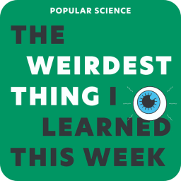 The Weirdest Thing I Learned This Week avatar