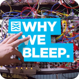 Why We Bleep avatar