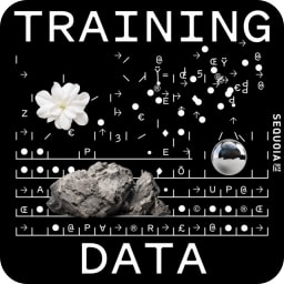 Training Data avatar