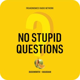 No Stupid Questions avatar