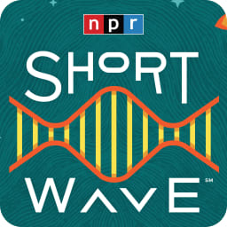 Short Wave avatar