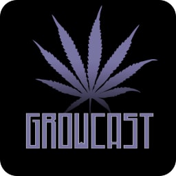 GrowCast avatar