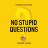No Stupid Questions logo