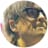 Rivers Cuomo
